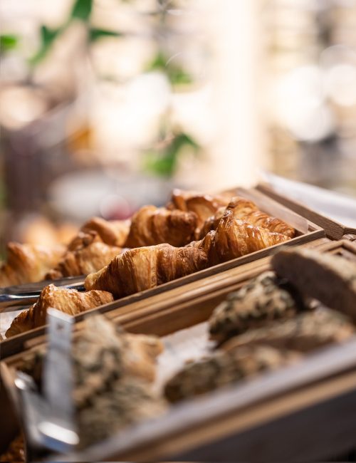 Indoor garden brunch buffet