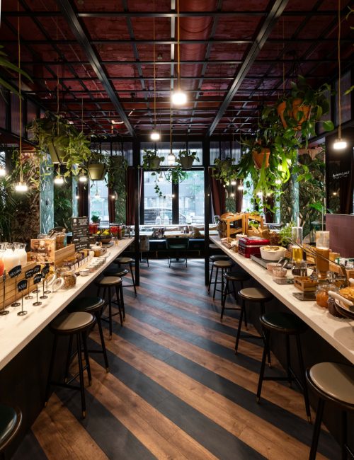 indoor garden brunch buffet by SERRA