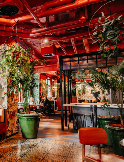 Stylish indoor garden style restaurant in Brussels Place Rogier
