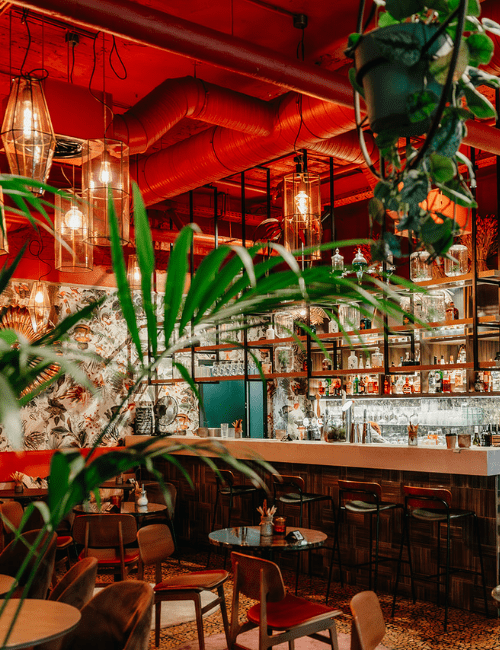 SERRA is an urban jungle bar for cocktails and after works on Place Rogier in Brussels centre