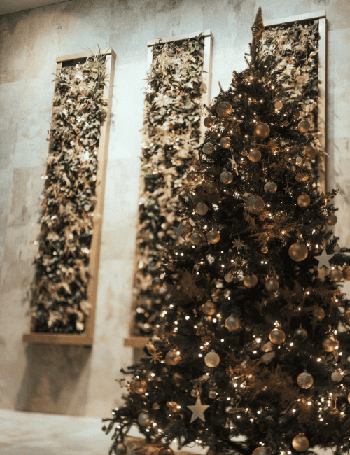 Celebrate Christmas at SERRA Brussels